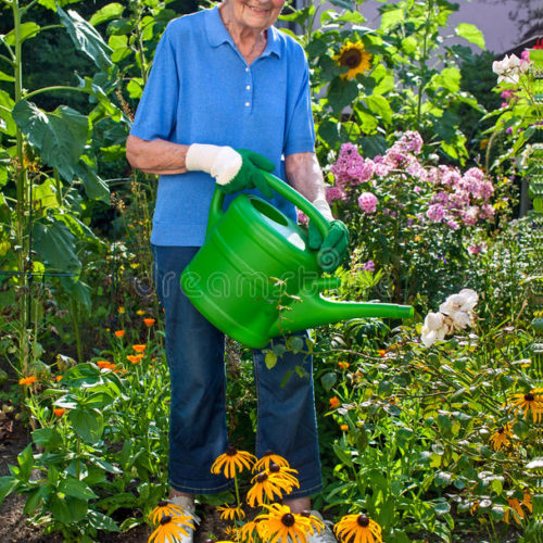 Gardening (1)